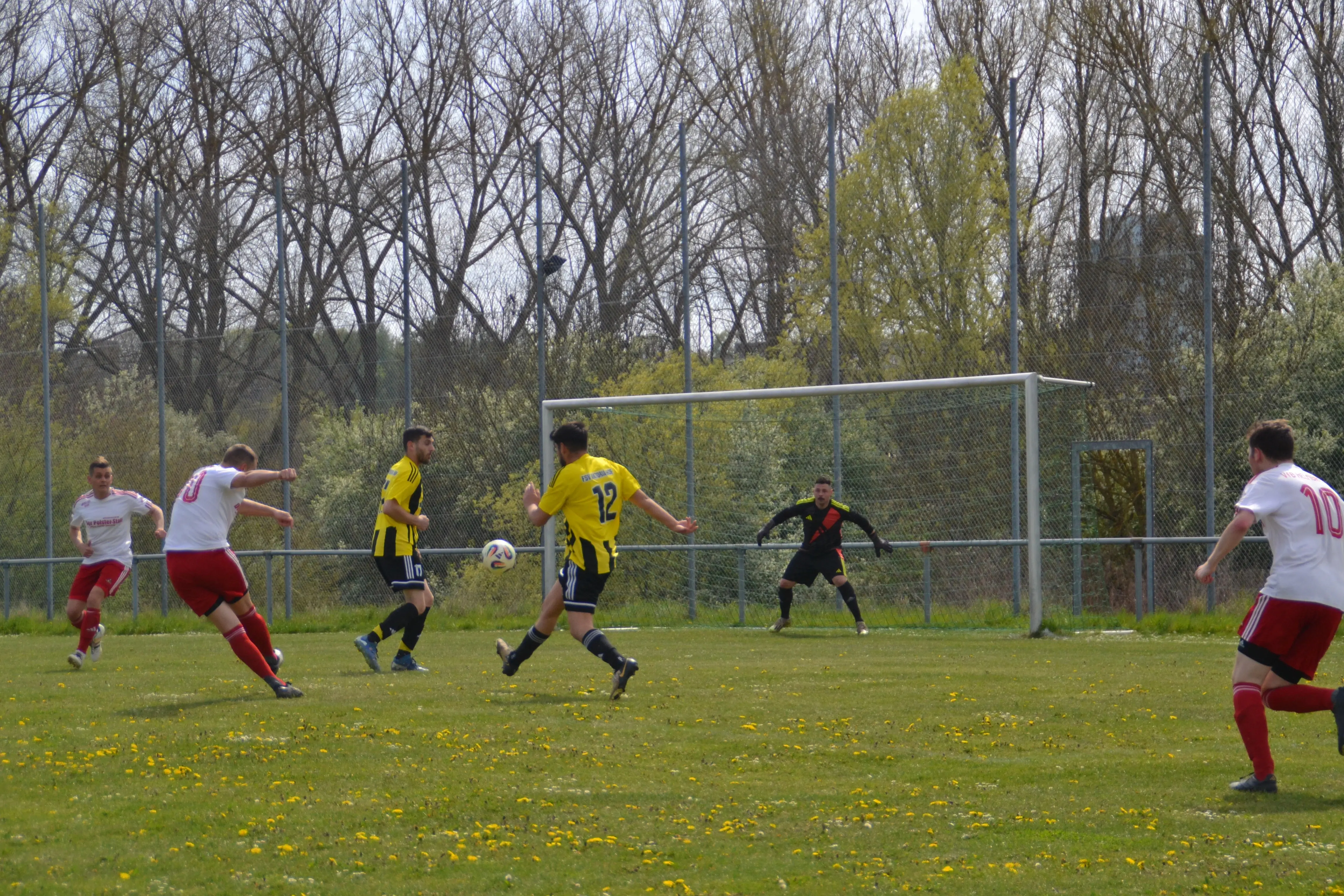 fsv-viktoria-hof-spielszene-torschuss-fischer