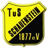 sg-schauenstein-spvgg-selbitz-2-logo