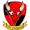 sg-höllental-saaletal-logo